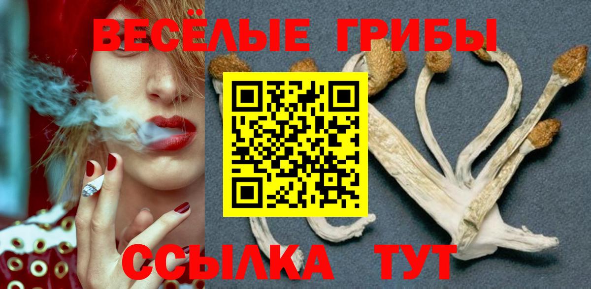 Псилоцибиновые грибы мухоморы Каменка